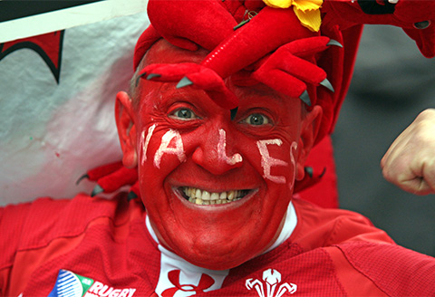 Be an armchair coach this Rugby World Cup Image